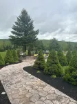 Rustic Camp with Trails, Views & Adventure – Pet Friendly!
