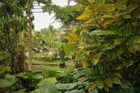 Cahaya Adrian Hotel - Cho phép mang theo thú cưng
