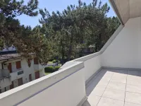 Bright Flat with Terrace - Homestays