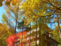 Shirafune Grand Hotel - Mountain view