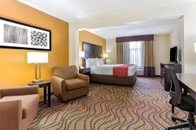 Comfort Inn & Suites Tampa North I-75