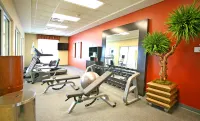 Hilton Garden Inn Cincinnati Blue Ash - Gym