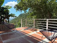La Palapa by Otium - Homestays