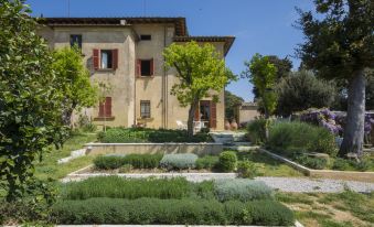 A Path of Relaxation and History Between Vineyards and Olive Trees - 6 Pax