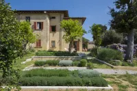 Un percorso di relax e storia tra vigneti e ulivi