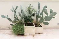 Modern Apartment "casa Giuditta Deluxe A Otranto"