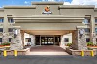 Comfort Inn Hoffman Estates - Schaumburg - Pet-friendly