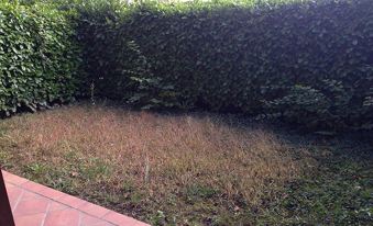 Residence Il Podere - Housity