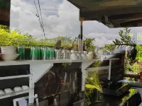 Gecko Lodge Fiji Hotels in Vanua Levu