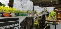 Gecko Lodge Fiji Hotel a Savusavu