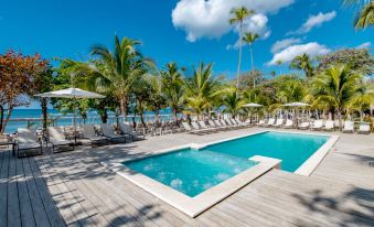 a large outdoor pool surrounded by palm trees , with several lounge chairs and umbrellas placed around the pool area at Emotions by Hodelpa - Juan Dolio