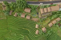 Eco Palms House - Sapa Retreat