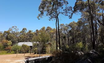 a wooded area with a house nestled in the woods , surrounded by trees and bushes at Jarrah Grove Forest Retreat