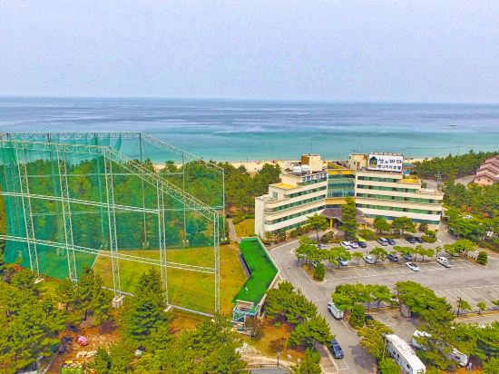 주문진 해수욕장 근처 호텔 주변 호텔 베스트 10|트립닷컴 주문진 해수욕장 근처 호텔 주변 호텔 베스트 10|트립닷컴
