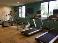 Holiday Inn Express GRAND ISLAND - NIAGARA FALLS by IHG - Gym