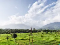 Pops Hotel and Restaurant Hotels in Palampur