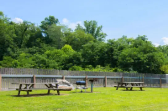 Microtel Inn & Suites by Wyndham Cherokee