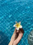 Zuri Resort Hotels in Coron