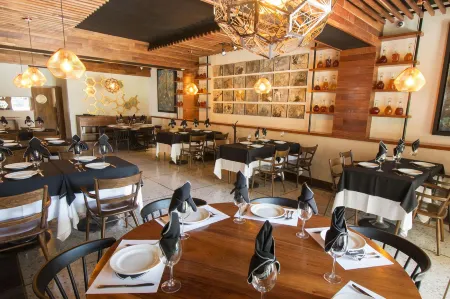 Hotel Rio Tequisquiapan Отели в г. Бордо Бланко