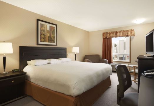 객실 위생 상태