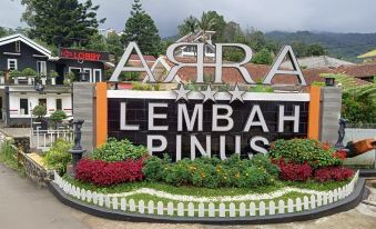 Arra Lembah Pinus Puncak