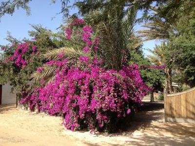 Villa Morabeza Guest House Hotels in Mindelo