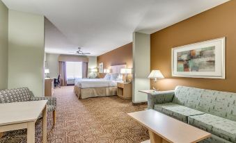 Holiday Inn Express & Suites Lubbock Southwest - Wolfforth
