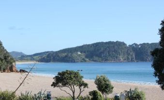 Hot Water Beach Cottage