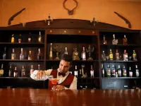 Bandarawela Hotel - bar