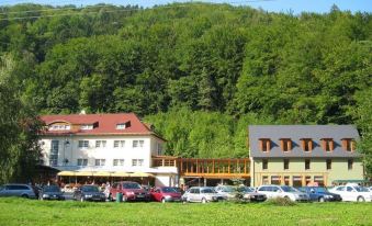 Hotel Skalni Mlyn