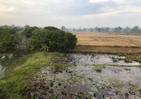 TaamJai Resort Hôtels à : Mueang Nakhon Phanom
