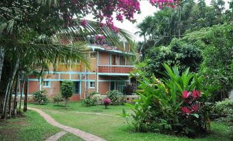 Coorg Jungle Kids Resort