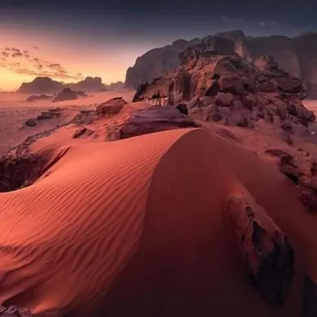 Bedouin Habits Tours Camp