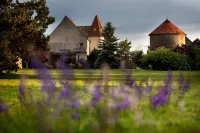 L'Hote Antique - Maison d'Hote- 4 Suites Avec Cuisine Hotel di Pichanges