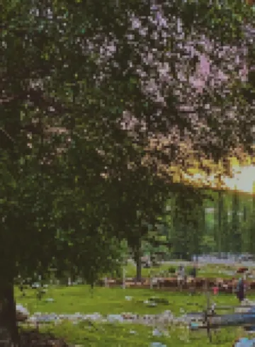 Joan Kushtai is like a homestay designer