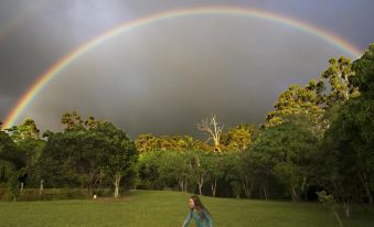 Cedar Park Rainforest Resort