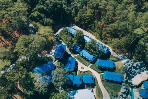 Tea Resort Prenn