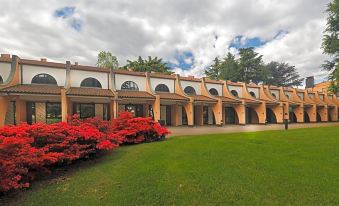 Hotel Pineta