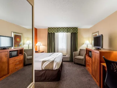 Comfort Inn & Suites Nashville Downtown - Stadium