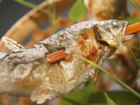 Takijiso