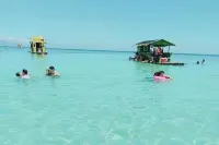 Albert's Transient House