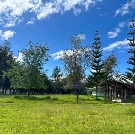 Grandfather´s Farm - Disfruta de la Naturaleza en un Lindo Flat.