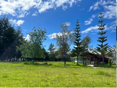 Grandfather´s Farm - Disfruta de la Naturaleza en un Lindo Flat. Hotels in 