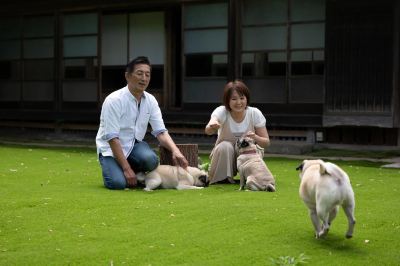 その他 古民家宿るうふ　杉之家の写真