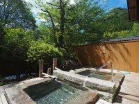 140 Year-Old Mountain Village Inn Orihashi Hotel - Mountain view