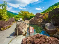 Tazawa Onsen Fujiya - Hot Springs