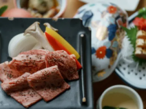 Kanagi Kanko Hotel Hotéis em Hamada