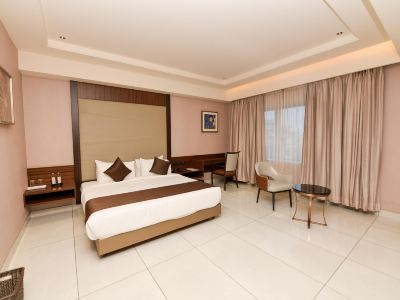 Hotel M Pro Palace Mysore - 12 Minutes to Mysore Palace