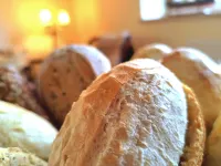 Küstenliebe Gartenpension & Ferienwohnungen Hotels in Borgerende-Rethwisch