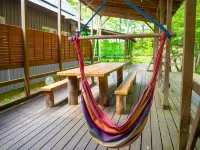 Bungalow Standing in the Forest